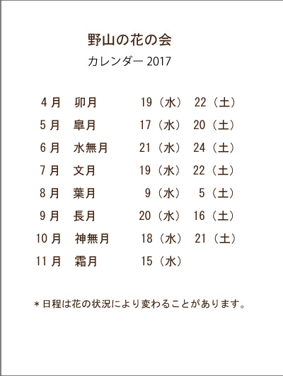 2017カレンダー野山